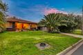 Property photo of 19 Icarus Avenue Modbury North SA 5092