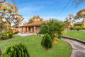 Property photo of 11 Vincent Boulevard Flagstaff Hill SA 5159