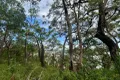 Property photo of 12-14 High Central Road Macleay Island QLD 4184