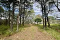 Property photo of 12-14 High Central Road Macleay Island QLD 4184