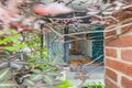 Property photo of 324 Young Street Fitzroy VIC 3065