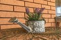 Property photo of 24 Havachat Place Orange NSW 2800