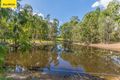 Property photo of 193 McClintock Road Wamuran QLD 4512