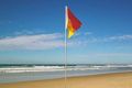 Property photo of 56 Avocet Parade Peregian Beach QLD 4573
