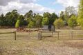 Property photo of 22 Hill Drive Kyneton VIC 3444