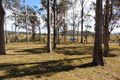Property photo of 2610 The Bucketts Way Belbora NSW 2422