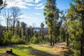 Property photo of 36 Stafford Crescent Tathra NSW 2550