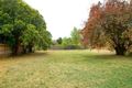 Property photo of 126 Berringa Road Park Orchards VIC 3114