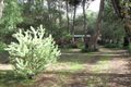 Property photo of 5 Simmonds Place Denmark WA 6333