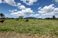 Property photo of 378 Bulgun Road Bulgun QLD 4854