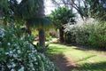 Property photo of 31 Campsie Street Wilton NSW 2571