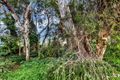 Property photo of 13 Hallett Road Erindale SA 5066