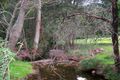 Property photo of 34 Knodingbul Forest Road Mount George NSW 2424
