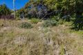 Property photo of 89 Doyle Avenue Lenah Valley TAS 7008