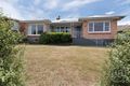 Property photo of 197 St Leonards Road St Leonards TAS 7250
