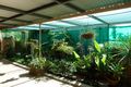Property photo of 10 Incarnie Crescent Wagga Wagga NSW 2650