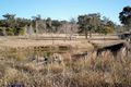 Property photo of 47 Matthews Lane The Summit QLD 4377