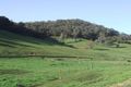 Property photo of 721 Buffalo River Road Buffalo River VIC 3737