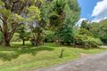 Property photo of 36 Lloyds Road Springbrook QLD 4213