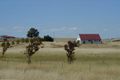 Property photo of 5 River Avenue Yass NSW 2582