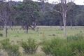 Property photo of 246 Mungay Flat Road Willawarrin NSW 2440