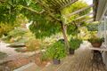 Property photo of 62 Kennedy Street Castlemaine VIC 3450