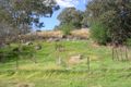 Property photo of 26 Murringo Gap Road Murringo NSW 2586