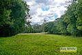 Property photo of 58 Gordons Road Cedar Creek QLD 4520