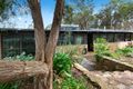 Property photo of 22 Callanans Road Red Hill South VIC 3937
