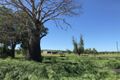 Property photo of 110 Mills Road Boolburra QLD 4702