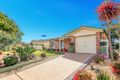 Property photo of 43 Forrester Court Sanctuary Point NSW 2540