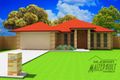 Property photo of 24 Black Beauty Court Kensington QLD 4670