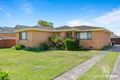 Property photo of 74 Hammond Road Noraville NSW 2263