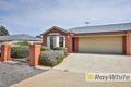 Property photo of 799 Irymple Avenue Irymple VIC 3498
