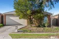 Property photo of 46 Tyler Crescent Tarneit VIC 3029