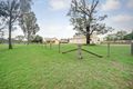 Property photo of 826 Cut Hill Road Cobbitty NSW 2570