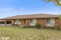 Property photo of 44 Guest Street Tootgarook VIC 3941