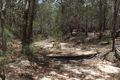 Property photo of LOT 3 Barkles Road Isis Central QLD 4660