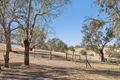 Property photo of 620E Springs Road Mount Barker Springs SA 5251