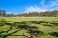 Property photo of 200 Square Mile Road Stanley Flat SA 5453