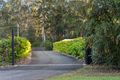 Property photo of 16 Youngs Drive Doonan QLD 4562