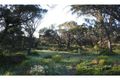 Property photo of 28 Reo Road Couch Beach SA 5577