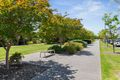 Property photo of 65 East Parkway Lightsview SA 5085