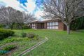 Property photo of 31 Casuarina Avenue Surrey Downs SA 5126