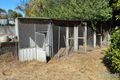 Property photo of 347 Tantanoola Road Tantanoola SA 5280