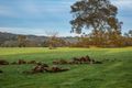 Property photo of 28 Jersey Road Lower Chittering WA 6084