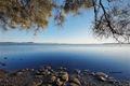 Property photo of 28 Charlton Street Mount Warrigal NSW 2528