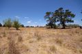 Property photo of 80 Glenmore Road Braidwood NSW 2622