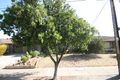 Property photo of 1/37 Stonehouse Avenue Camden Park SA 5038