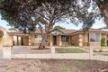 Property photo of 11 Drinan Place Hillarys WA 6025